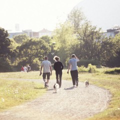 SL / Trafikverket / Stockholms Stad